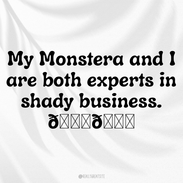 Monstera Deliciosa Captions Photo For Instagram-A7YYIo