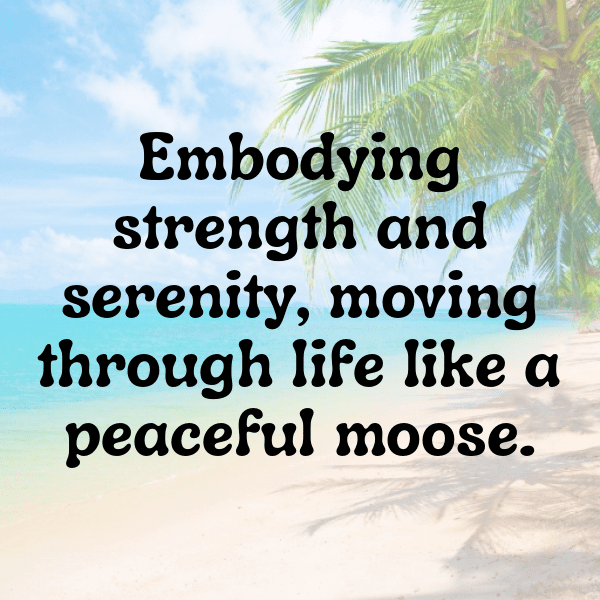 Moose Captions Image For Instagram-CjxtYq