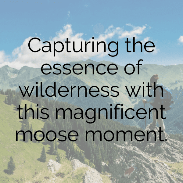 Moose Captions Image For Instagram-FZzebe