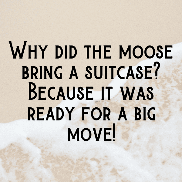 Moose Captions Image For Instagram-RjJzDA