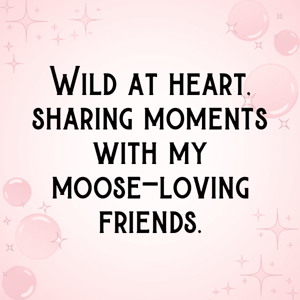 Moose Captions Image For Instagram-yyLmxh