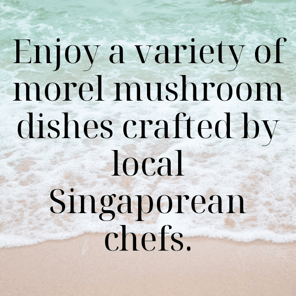 Morel Mushroom Captions Image For Instagram-c2Hfnp