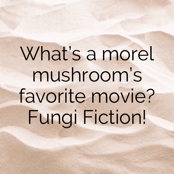 Morel Mushroom Captions Photo For Instagram-1ePKBf