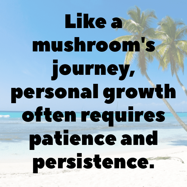 Morel Mushroom Captions Photo For Instagram-i9DEdU