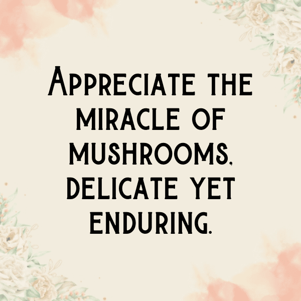 Morel Mushroom Captions Photo For Instagram-WL1W6r