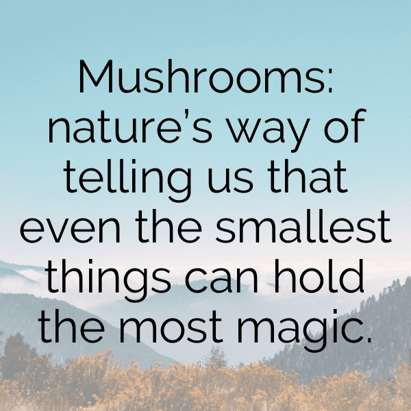 Morel Mushroom Captions Photo For Instagram-WY8fq4