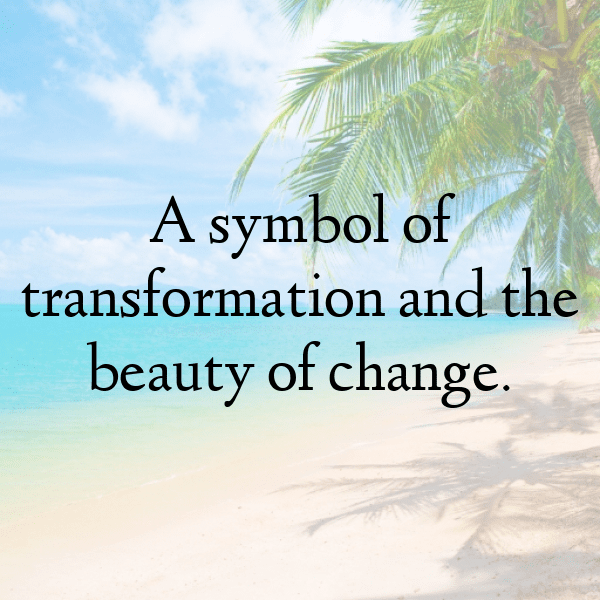 Moth Captions Image For Instagram-RkNjbv