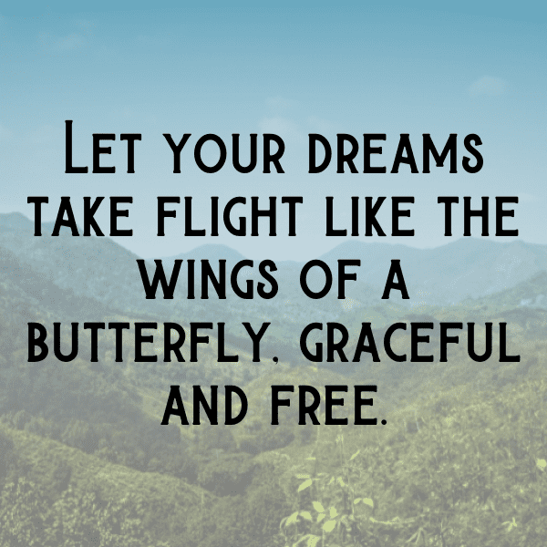 Moth Captions Photo For Instagram-HBJ3L1