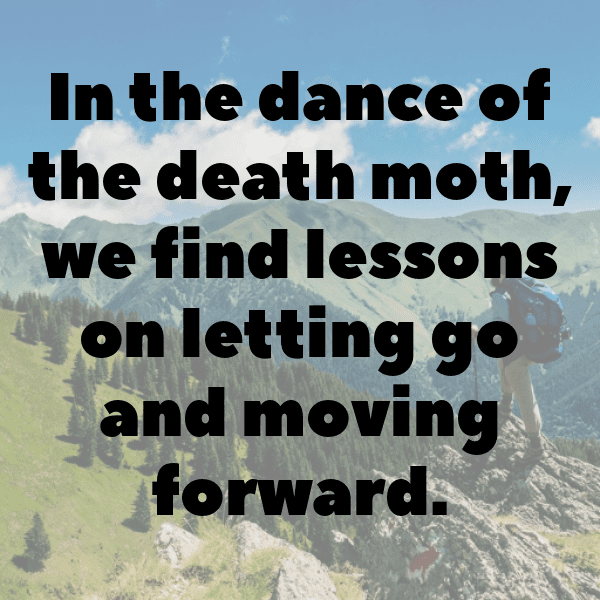 Moth Captions Photo For Instagram-KMW5cu