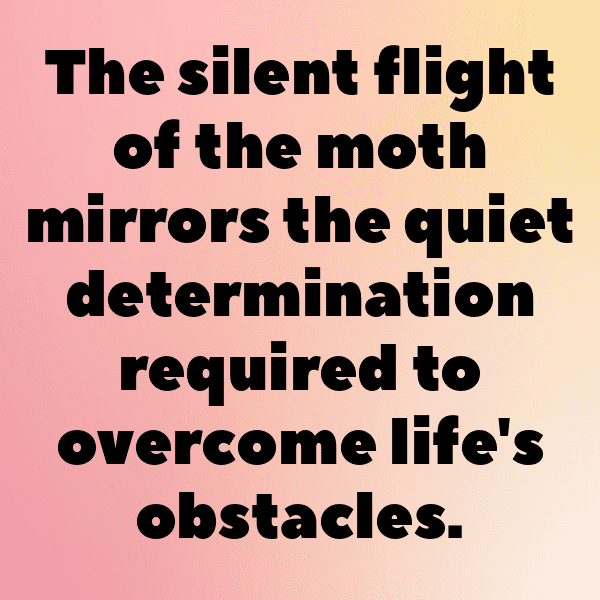 Moth Captions Photo For Instagram-muG8kM