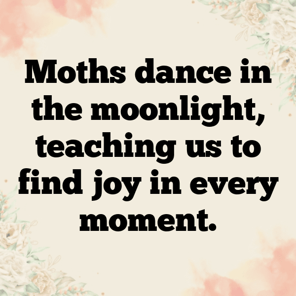Moth Captions Photo For Instagram-sc5pEM