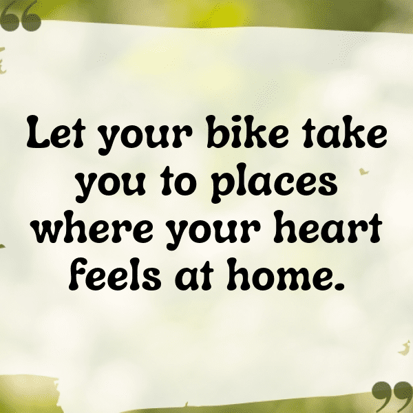 Mountain Biking Captions Photo for Instagram-We60aw