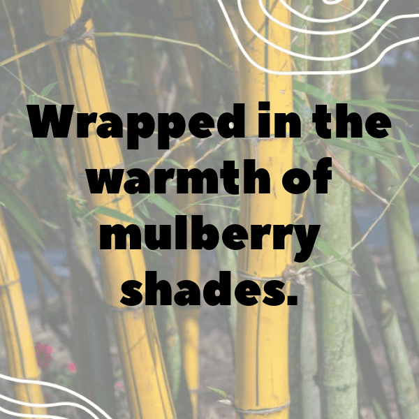 Mulberry Captions Image For Instagram-xdsW57