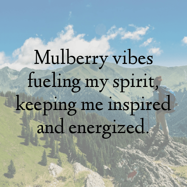 Mulberry Captions Photo For Instagram-4ECW4z