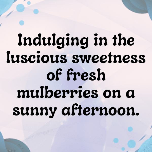 Mulberry Captions Photo For Instagram-hDNDfS