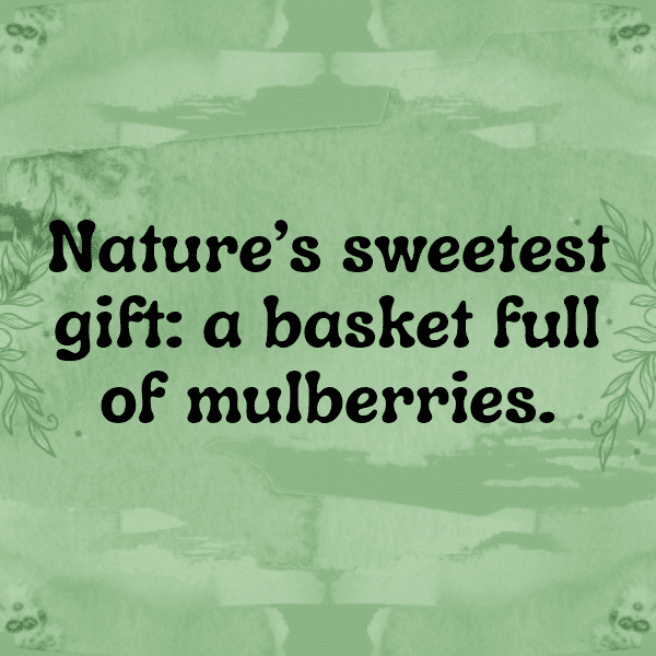 Mulberry Captions Photo For Instagram-oJdrR9