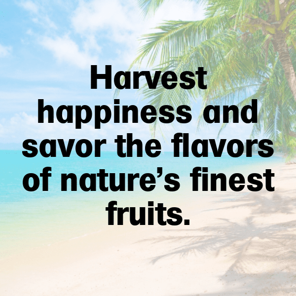 Mulberry Captions Photo For Instagram-UGJQKn