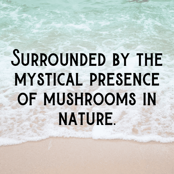 Mushroom Captions Image For Instagram-5zYxLc