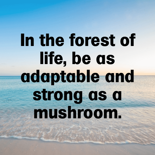 Mushroom Captions Image For Instagram-M1rWHA