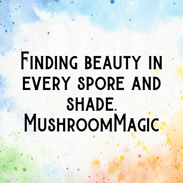 Mushroom Captions Image For Instagram-rZvUvi