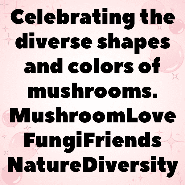 Mushroom Captions Image For Instagram-YHa3Lq
