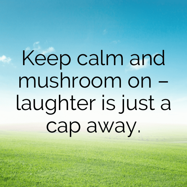 Mushroom Captions Photo For Instagram-jc0Xq7