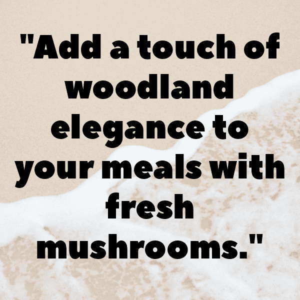 Mushroom Captions Photo For Instagram-KpSrKR