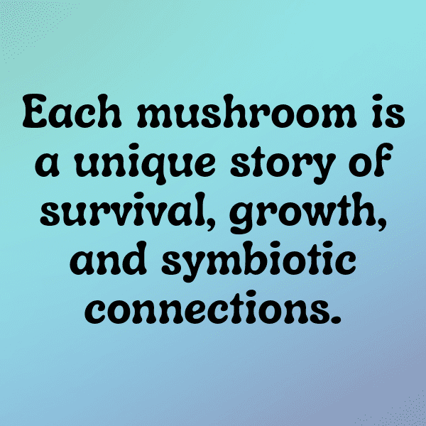 Mushroom Captions Photo For Instagram-ljqpqD