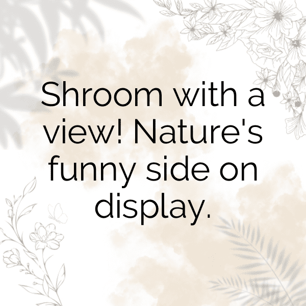 Mushroom Captions Photo For Instagram-XuREv0