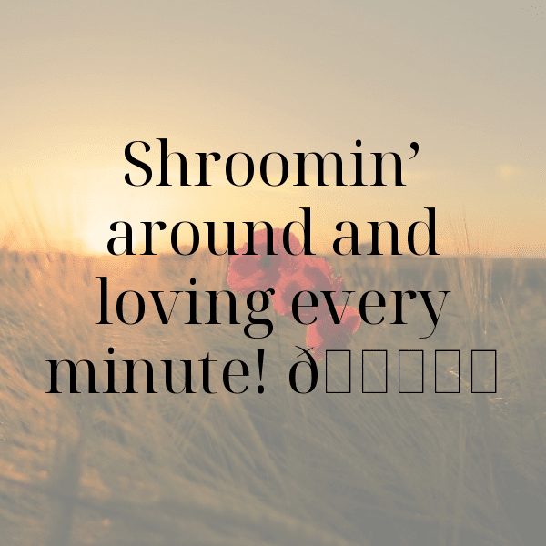 Mushroom Captions Photo For Instagram-zXuCbG