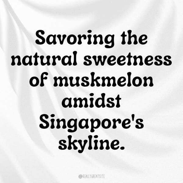 Muskmelon Captions Image For Instagram-9A3bZC
