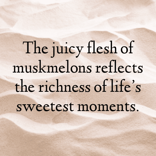 Muskmelon Captions Image For Instagram-drOrrV
