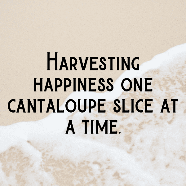 Muskmelon Captions Image For Instagram-UPA6Lu