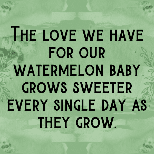 Muskmelon Captions Image For Instagram-vzboGk