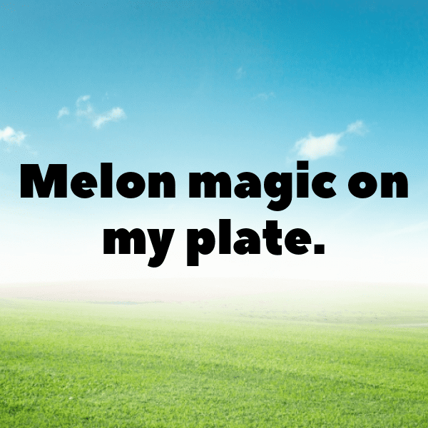 Muskmelon Captions Photo For Instagram-sPEzY4