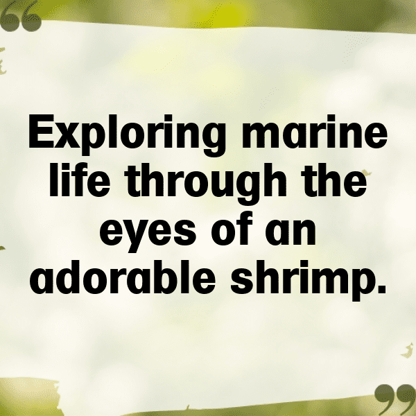 Mussel Captions Image For Instagram-0D7qCm