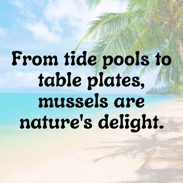 Mussel Captions Photo For Instagram-eX4Tko