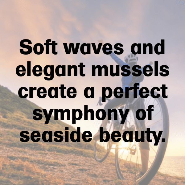 Mussel Captions Photo For Instagram-GFytVc