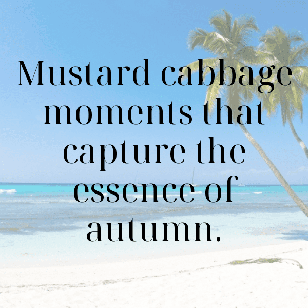 Mustard Cabbage Captions Photo For Instagram-4Ewyh5
