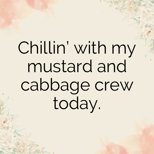 Mustard Cabbage Captions Photo For Instagram-EP8Rpg