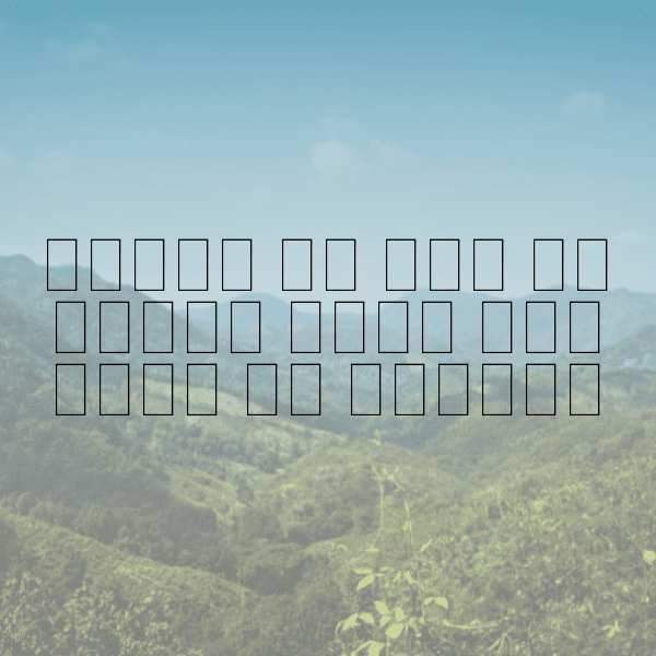 Mustard Greens Captions Image For Instagram-2mqCci