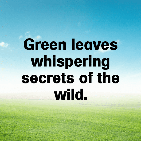 Mustard Greens Captions Image For Instagram-GNRD6f