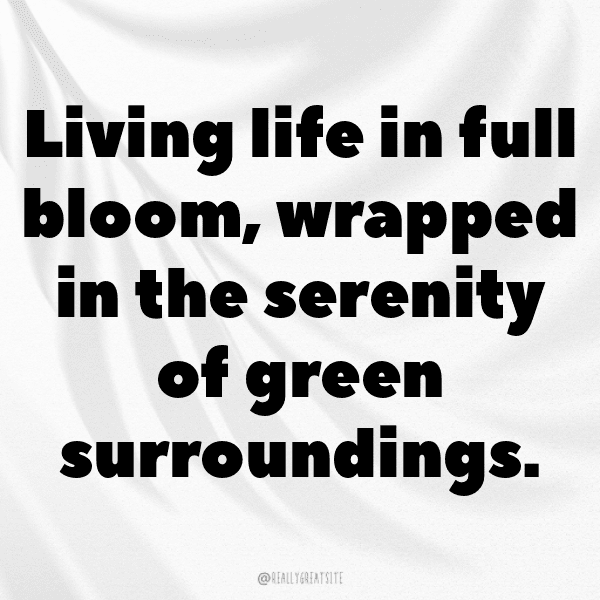 Mustard Greens Captions Photo For Instagram-jxguv1