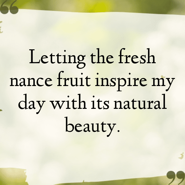 Nance Fruit Captions Photo For Instagram-obt4F7
