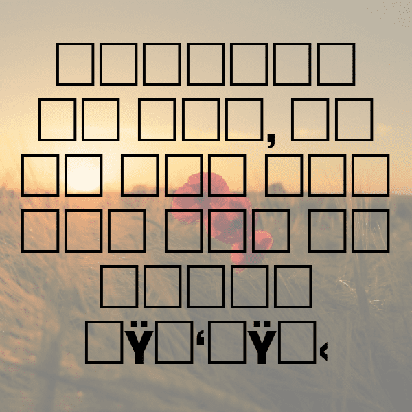 Nance Fruit Captions Photo For Instagram-u793gD