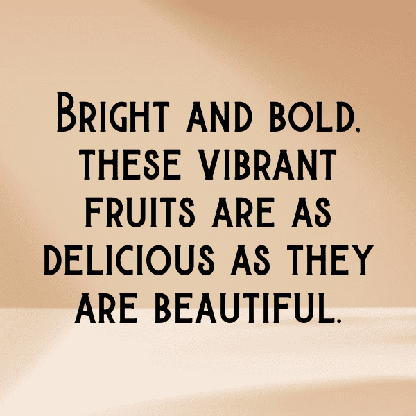 Naranjilla Captions Photo For Instagram-dVpgtX