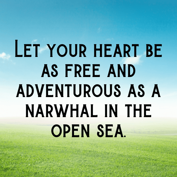 Narwhal Captions Image For Instagram-nfk4Kk