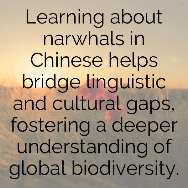 Narwhal Captions Photo For Instagram-bHSAgH