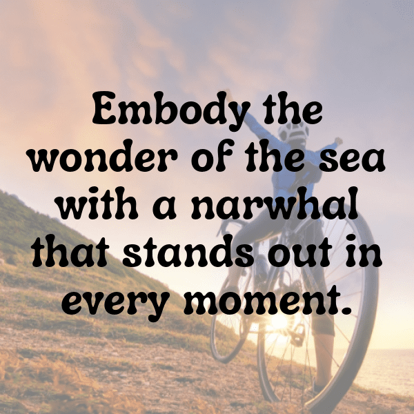 Narwhal Captions Photo For Instagram-lV5wK6