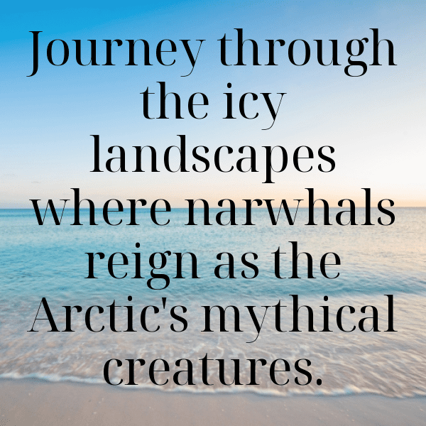 Narwhal Captions Photo For Instagram-YKn37t